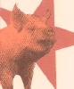Animal Farm Pig