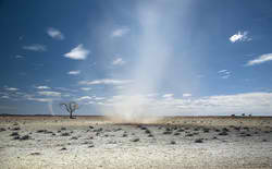 The Great White Desert