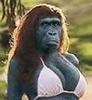 female ape