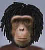 mop-head monkey