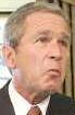 Bush