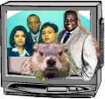 Gopher News Team