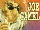 Joe Camel