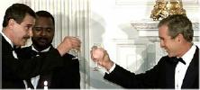 Mexican Fox and Bush toast open borders