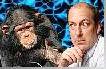 chimp and researcher